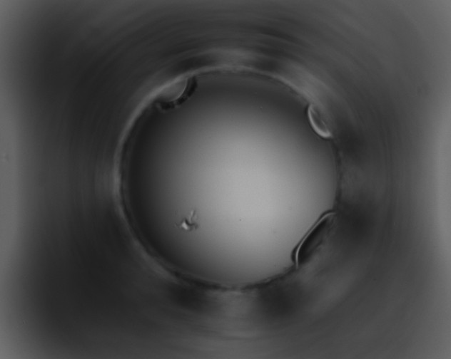 X0000095670896200801081206