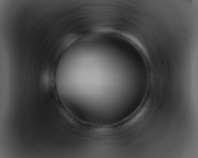 X0000095670897200801081206
