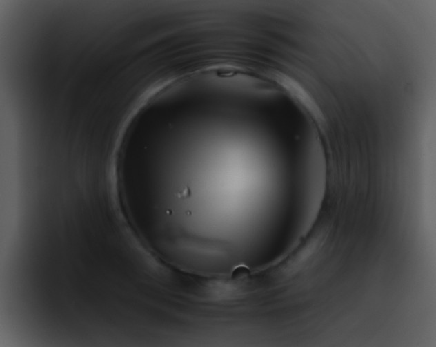 X0000095670898200801081206