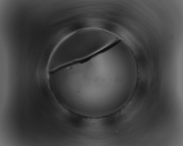X0000095670900200801081206