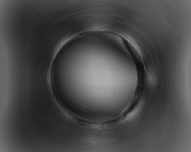X0000095670901200801081206