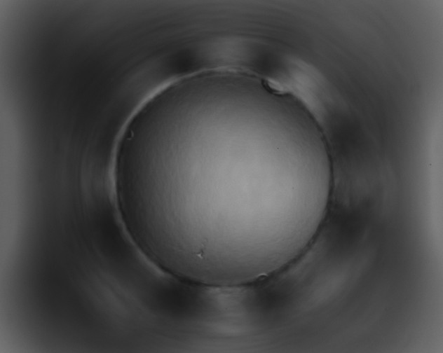 X0000095670902200801081206