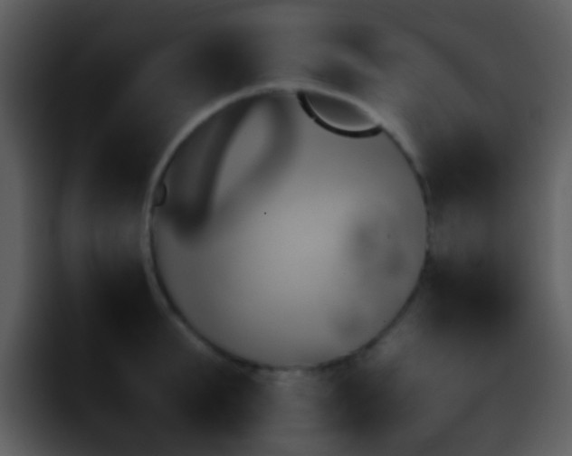 X0000095670903200801081206