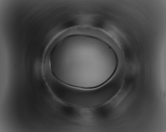 X0000095670904200801081206