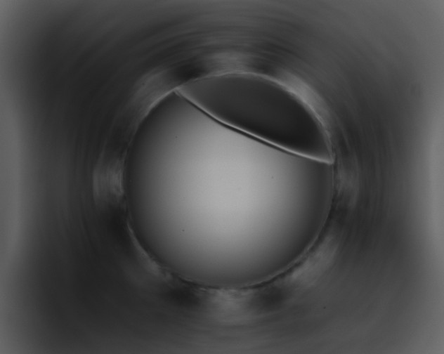 X0000095670905200801081206