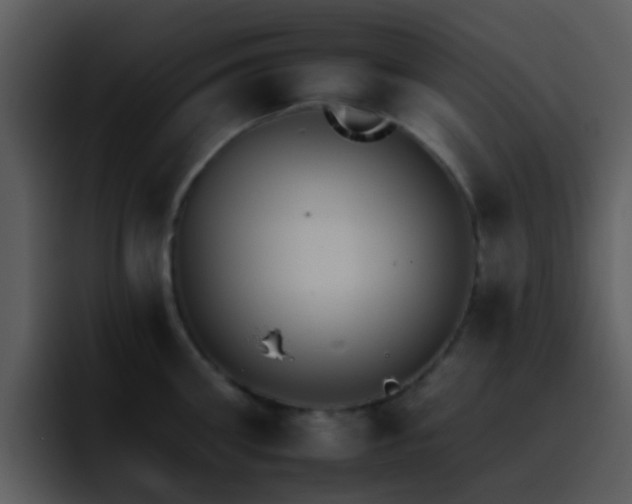 X0000095670906200801081206