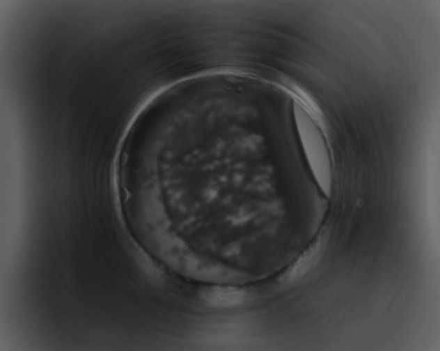 X0000095670907200801081206