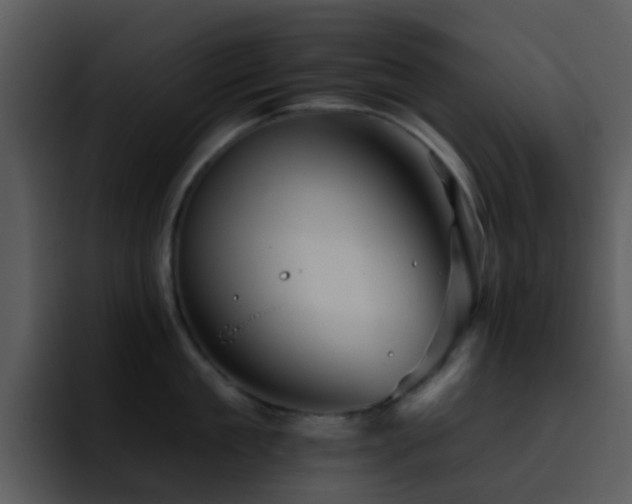 X0000095670909200801081206