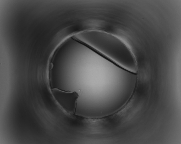 X0000095670910200801081206