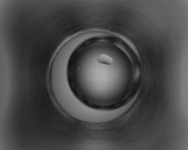X0000095670911200801081206