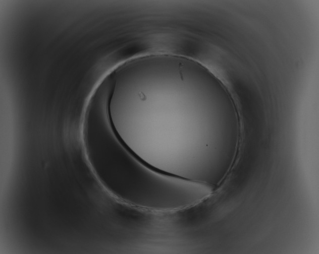X0000095670912200801081206