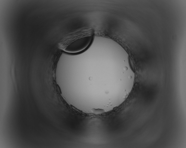 X0000095670913200801081205