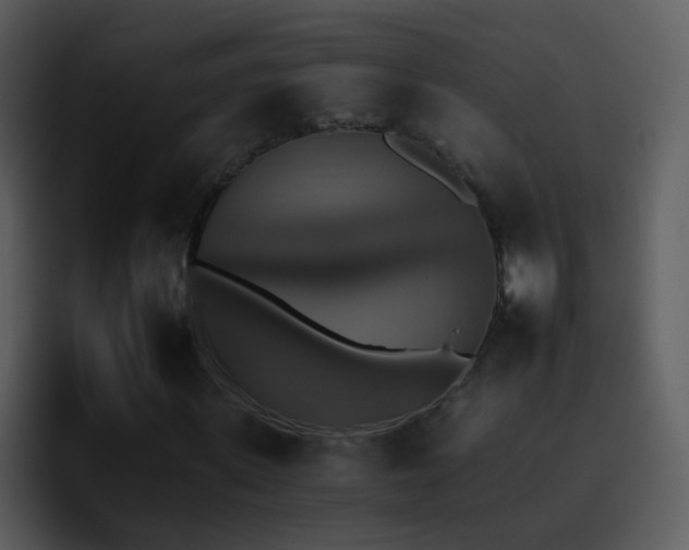 X0000095670915200801081205