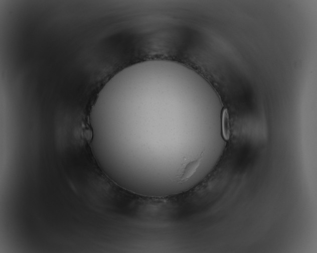 X0000095670916200801081205
