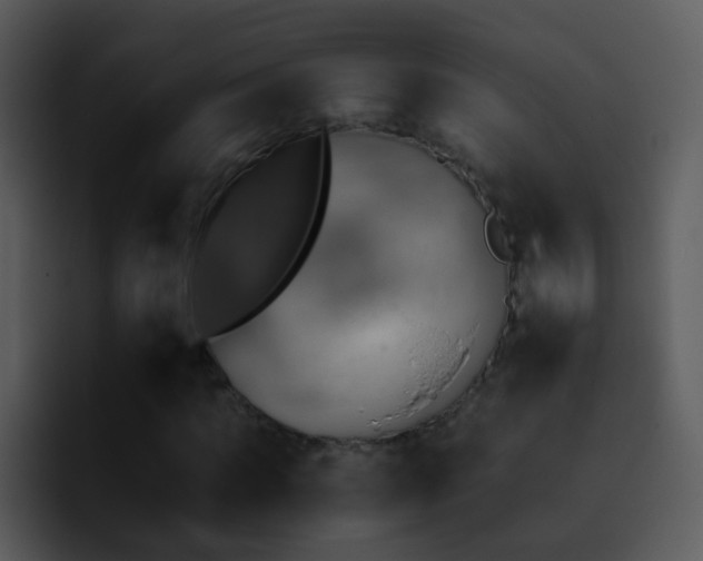 X0000095670917200801081205