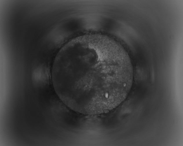 X0000095670918200801081205