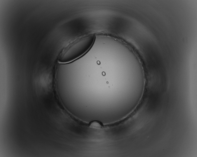 X0000095670922200801081205