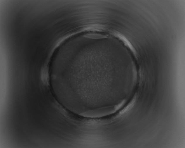 X0000095670923200801081205