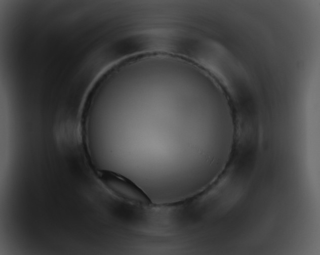X0000095670924200801081205