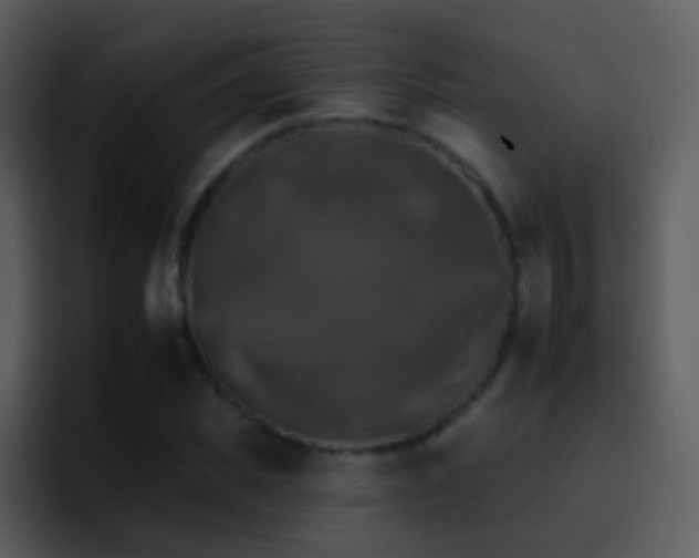 X0000095670925200801081205