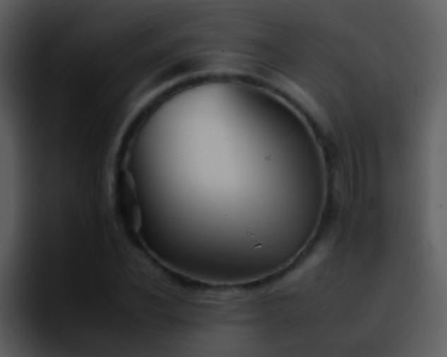 X0000095670926200801081205