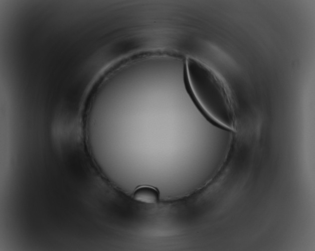 X0000095670927200801081205