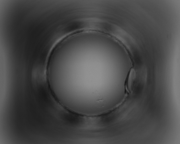 X0000095670928200801081205