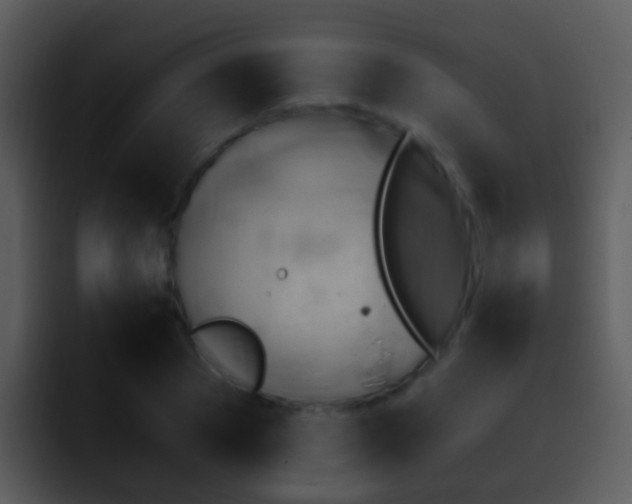 X0000095670929200801081205