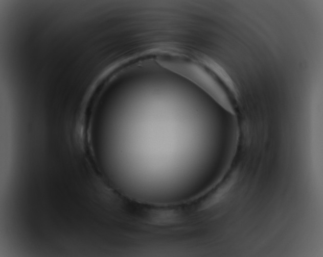 X0000095670931200801081205