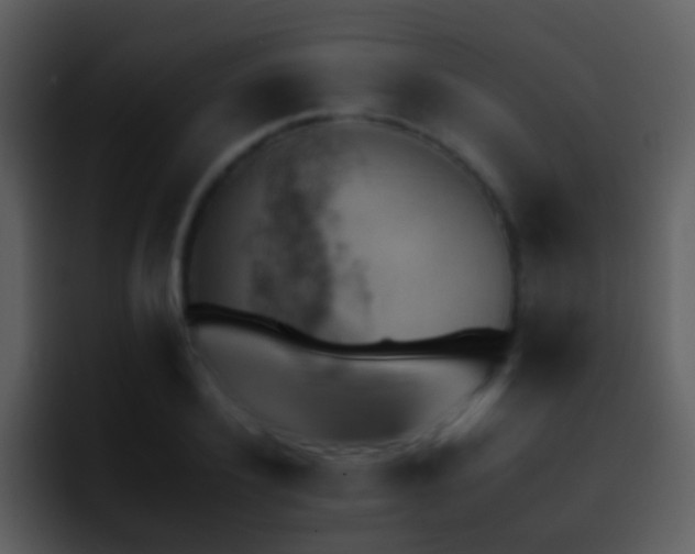 X0000095670932200801081205