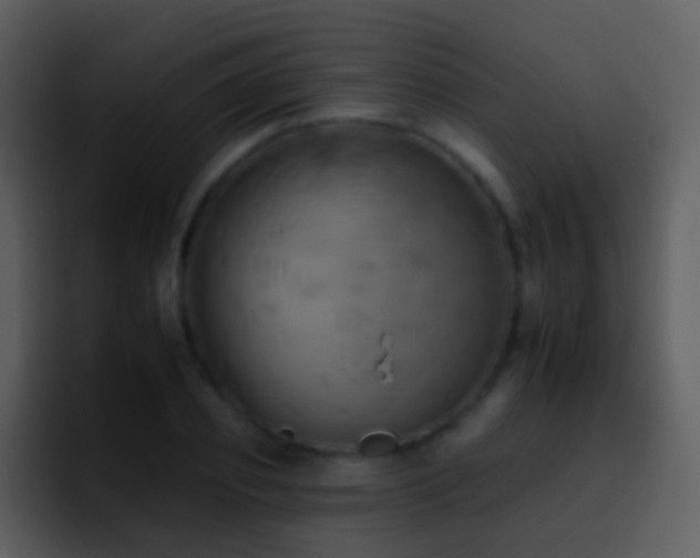 X0000095670933200801081205