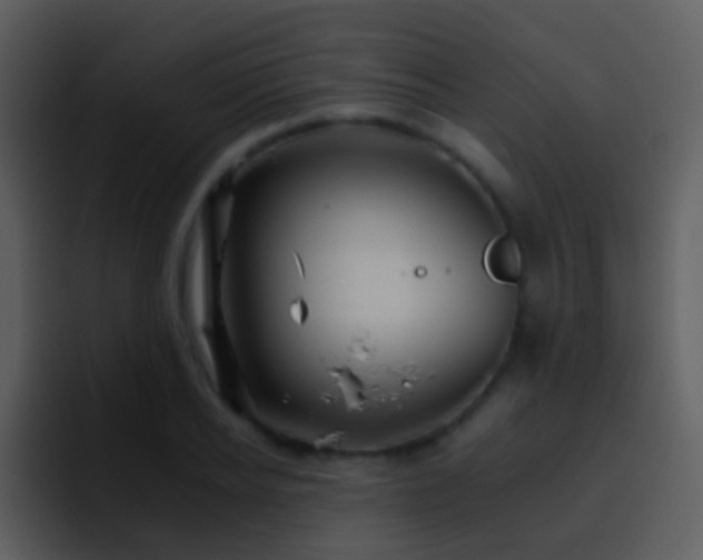 X0000095670934200801081206