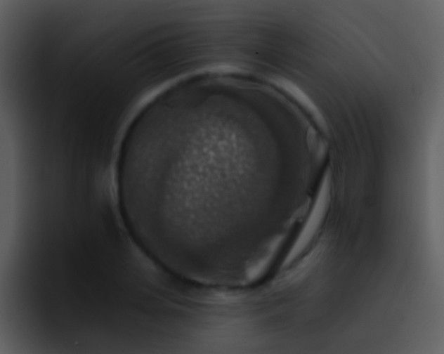 X0000095670935200801081206