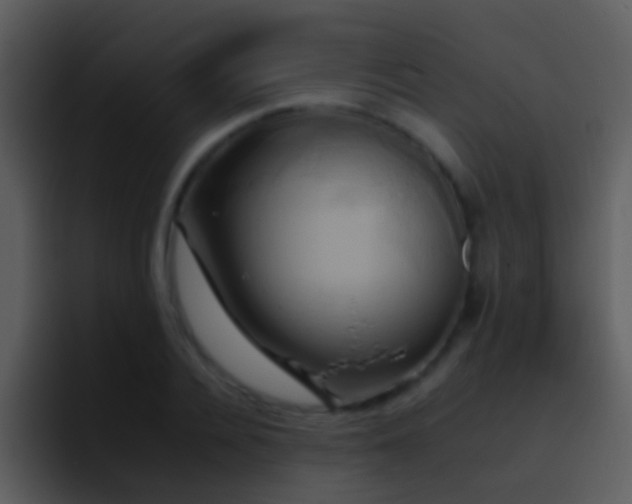 X0000095670936200801081206