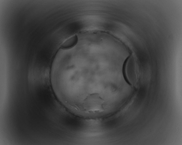 X0000095670937200801081206