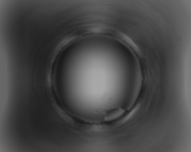 X0000095670938200801081206