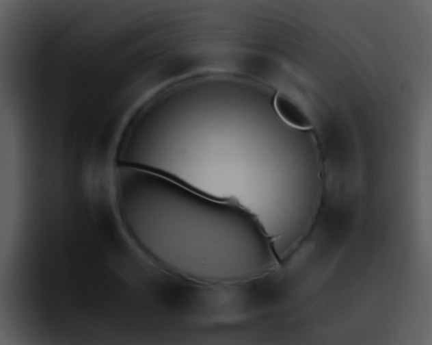 X0000095670939200801081206