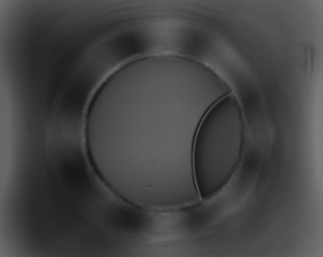 X0000095670941200801081206