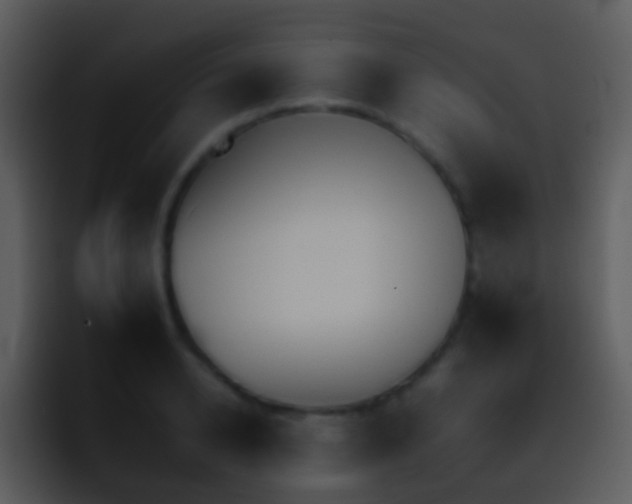 X0000095670942200801081206