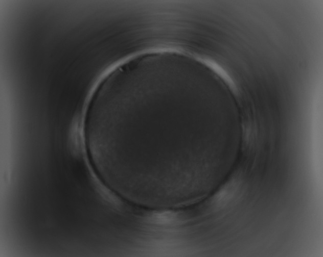X0000095670943200801081206