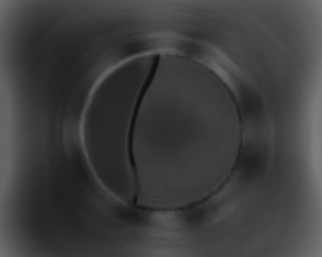 X0000095670944200801081206