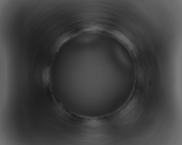 X0000095670945200801081206