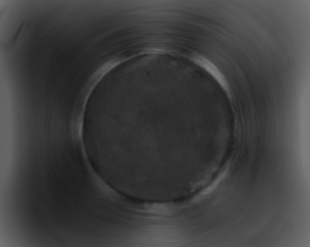 X0000095670946200801081206