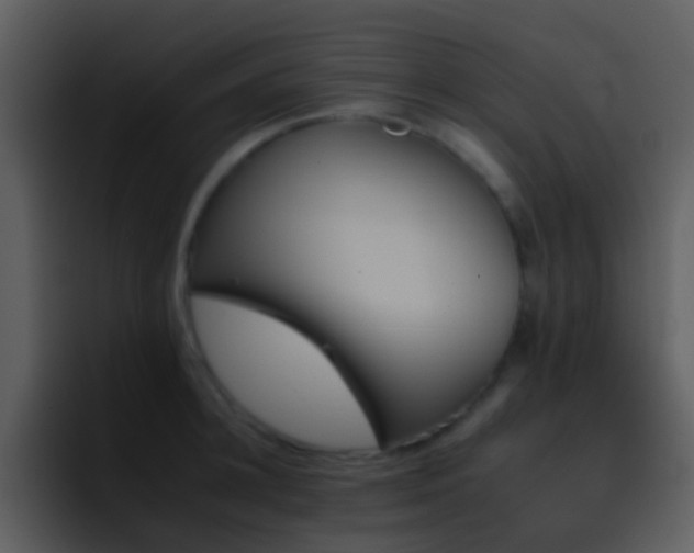 X0000095670948200801081206