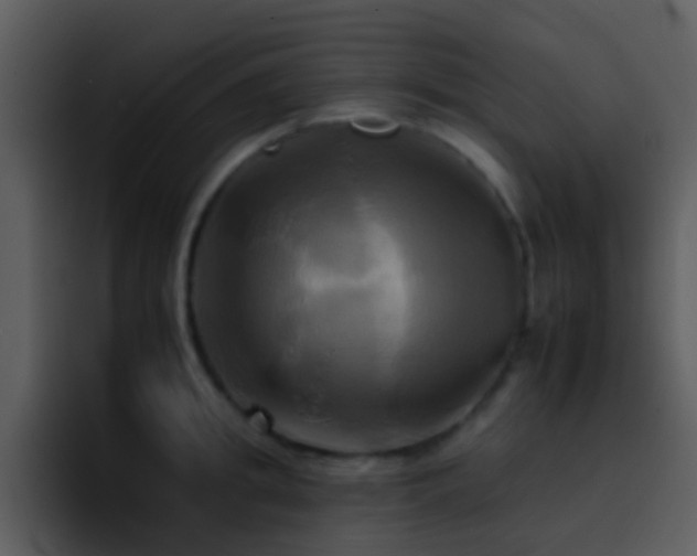 X0000095670949200801081206