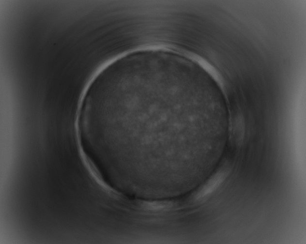 X0000095670951200801081206