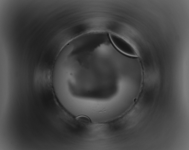 X0000095670953200801081206