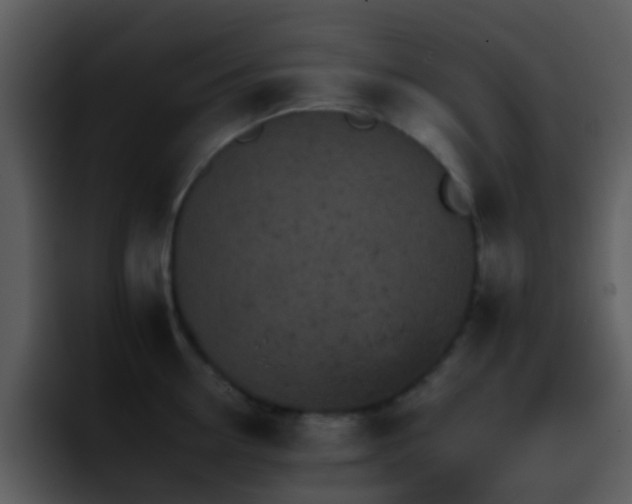 X0000095670954200801081206