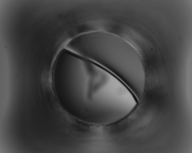 X0000095670956200801081206