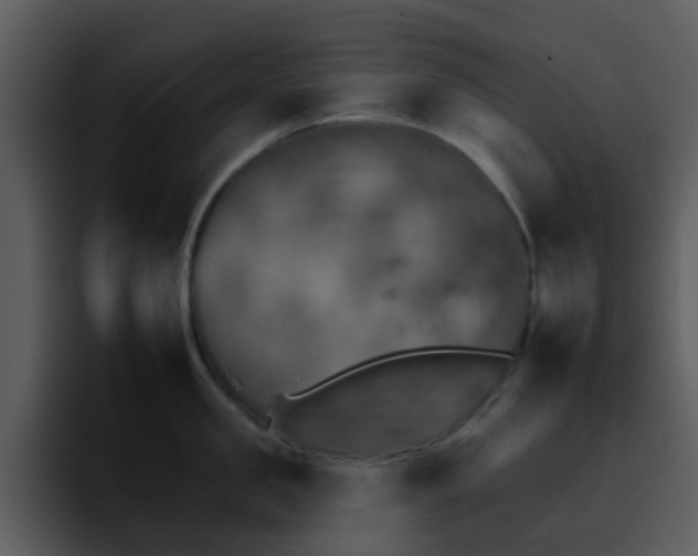 X0000095670957200801081206